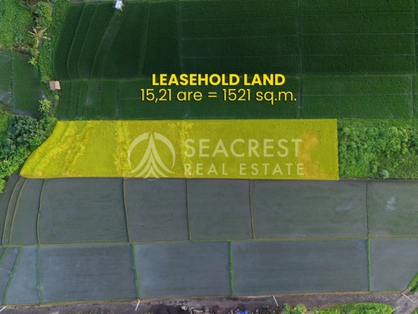 1521 sqm for Sale Leasehold - Seacrest Property Selling Land, Villas, and House Development in Bali Investment 1