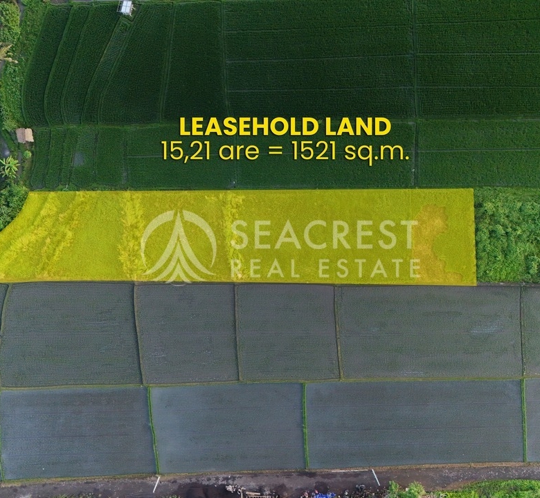 1521 sqm for Sale Leasehold - Seacrest Property Selling Land, Villas, and House Development in Bali Investment 1