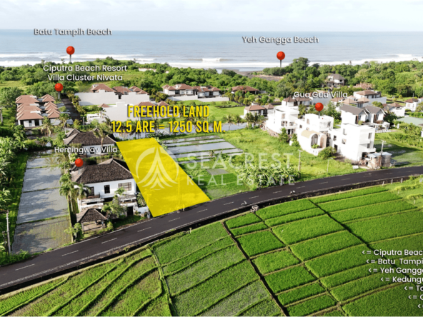 1521 sqm for Sale Leasehold - Seacrest Property Selling Land, Villas, and House Development in Bali Investment-2