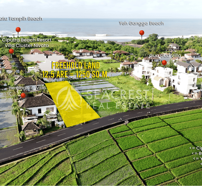 1521 sqm for Sale Leasehold - Seacrest Property Selling Land, Villas, and House Development in Bali Investment-2