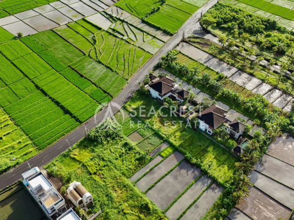 1521 sqm for Sale Leasehold - Seacrest Property Selling Land, Villas, and House Development in Bali Investment-3