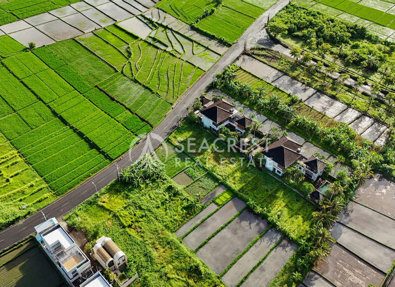 1521 sqm for Sale Leasehold - Seacrest Property Selling Land, Villas, and House Development in Bali Investment-3
