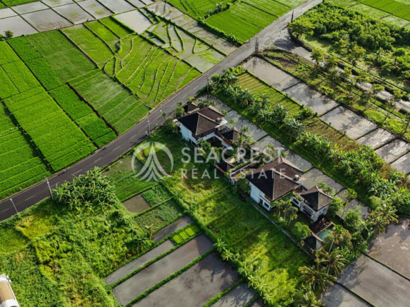1521 sqm for Sale Leasehold - Seacrest Property Selling Land, Villas, and House Development in Bali Investment-4