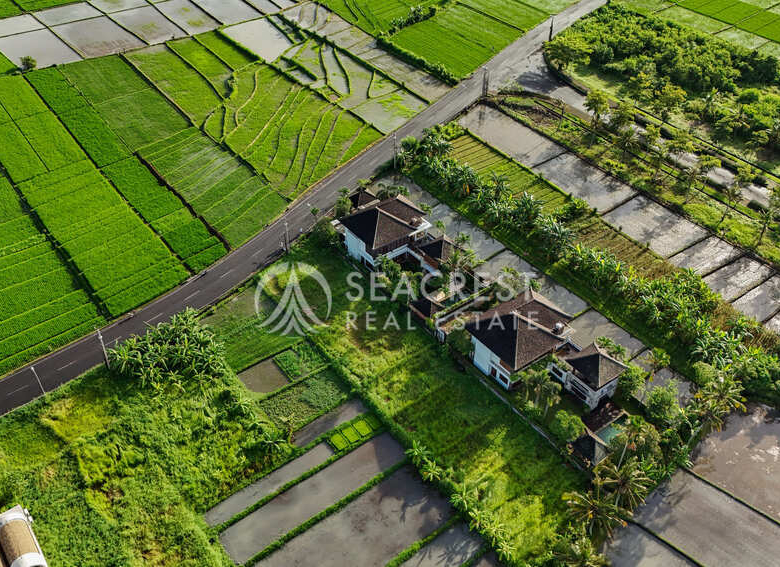 1521 sqm for Sale Leasehold - Seacrest Property Selling Land, Villas, and House Development in Bali Investment-4