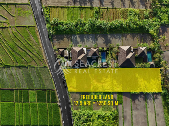 1521 sqm for Sale Leasehold - Seacrest Property Selling Land, Villas, and House Development in Bali Investment-5