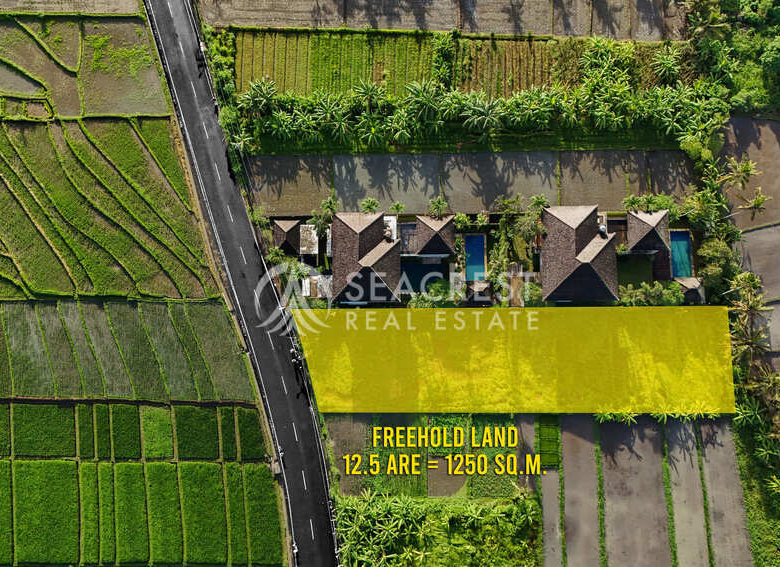 1521 sqm for Sale Leasehold - Seacrest Property Selling Land, Villas, and House Development in Bali Investment-5