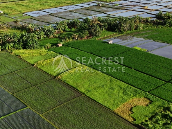 1521 sqm for Sale Leasehold - Seacrest Property Selling Land, Villas, and House Development in Bali Investment 5