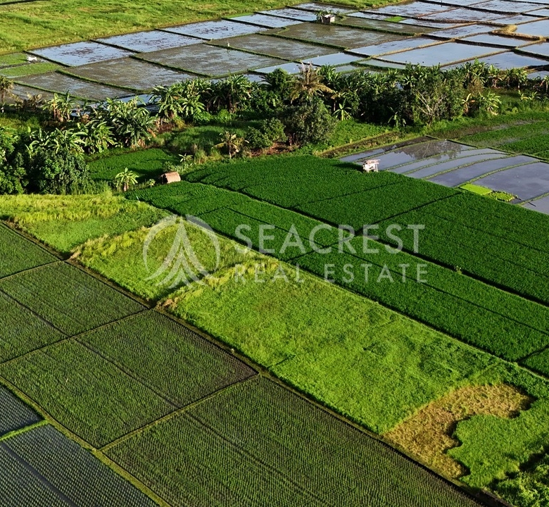 1521 sqm for Sale Leasehold - Seacrest Property Selling Land, Villas, and House Development in Bali Investment 5