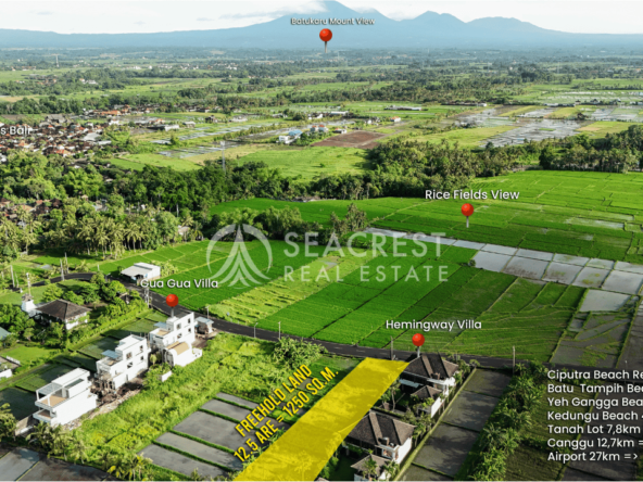 1521 sqm for Sale Leasehold - Seacrest Property Selling Land, Villas, and House Development in Bali Investment