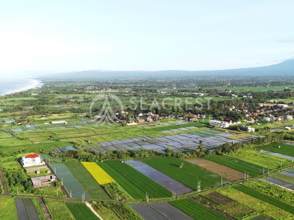 1521 sqm for Sale Leasehold - Seacrest Property Selling Land, Villas, and House Development in Bali Investment 6