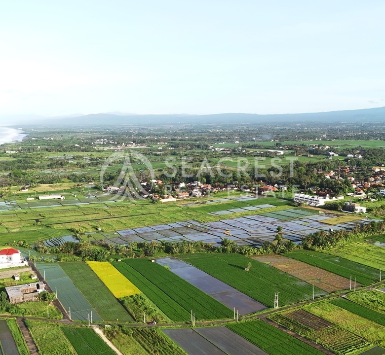 1521 sqm for Sale Leasehold - Seacrest Property Selling Land, Villas, and House Development in Bali Investment 6