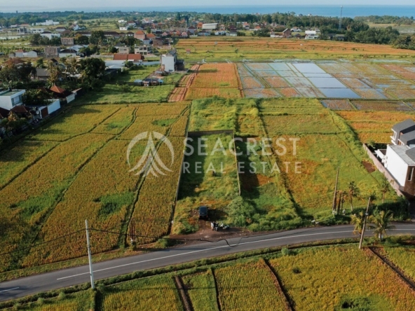 700 sqm for Sale Leasehold - Seacrest Property Selling Land, Villas, and House Development in Bali Investment 10