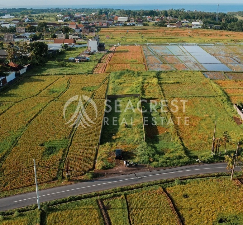 700 sqm for Sale Leasehold - Seacrest Property Selling Land, Villas, and House Development in Bali Investment 10