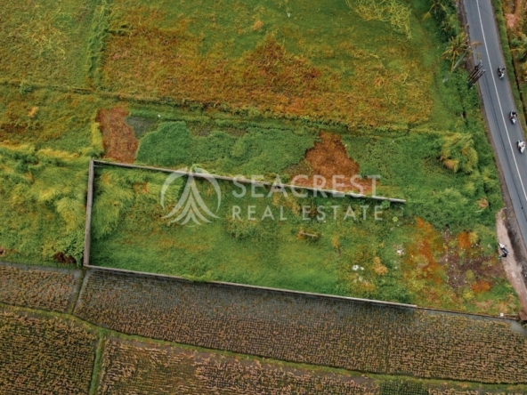700 sqm for Sale Leasehold - Seacrest Property Selling Land, Villas, and House Development in Bali Investment 12