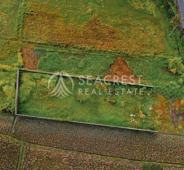 700 sqm for Sale Leasehold - Seacrest Property Selling Land, Villas, and House Development in Bali Investment 12