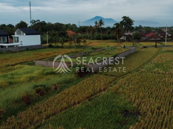 700 sqm for Sale Leasehold - Seacrest Property Selling Land, Villas, and House Development in Bali Investment 13