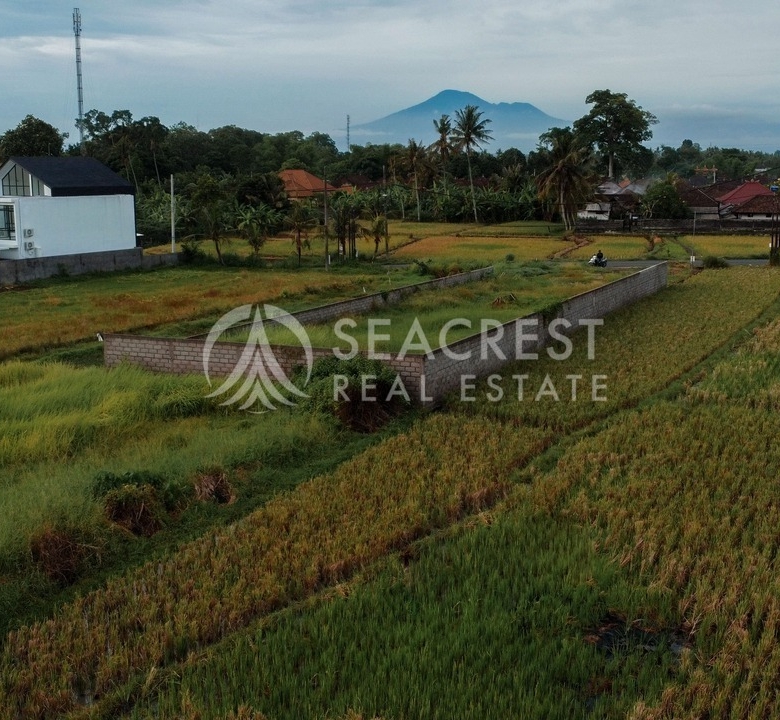 700 sqm for Sale Leasehold - Seacrest Property Selling Land, Villas, and House Development in Bali Investment 13