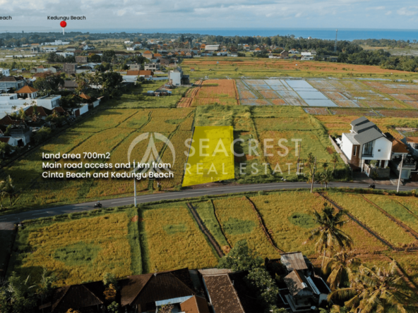 700 sqm for Sale Leasehold - Seacrest Property Selling Land, Villas, and House Development in Bali Investment 4