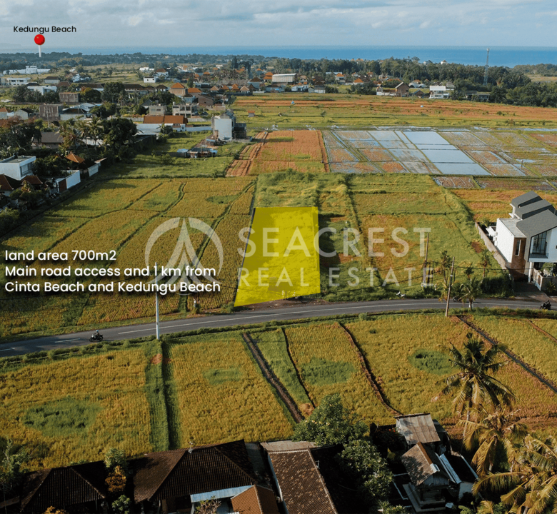 700 sqm for Sale Leasehold - Seacrest Property Selling Land, Villas, and House Development in Bali Investment 4