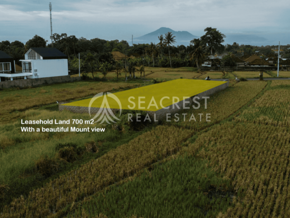 700 sqm for Sale Leasehold - Seacrest Property Selling Land, Villas, and House Development in Bali Investment 6