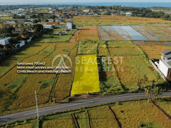 700 sqm for Sale Leasehold - Seacrest Property Selling Land, Villas, and House Development in Bali Investment 7