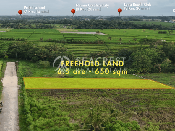 D14c1 Freehold land Bali for sale seacrest in kedungu best value near beach bening bestari 6 are 650 square meters