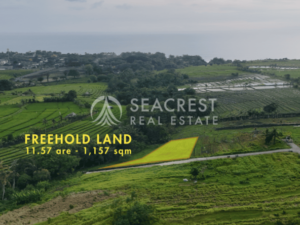 D14c2 Freehold land Bali for sale seacrest in kedungu best value near beach bening bestari 11 are 1157 square meters-2