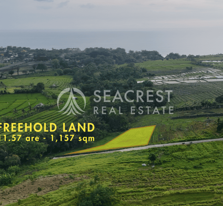D14c2 Freehold land Bali for sale seacrest in kedungu best value near beach bening bestari 11 are 1157 square meters-2