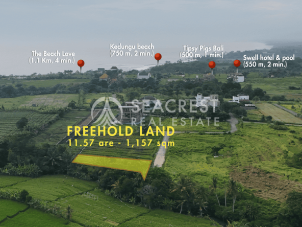 D14c2 Freehold land Bali for sale seacrest in kedungu best value near beach bening bestari 11 are 1157 square meters-3