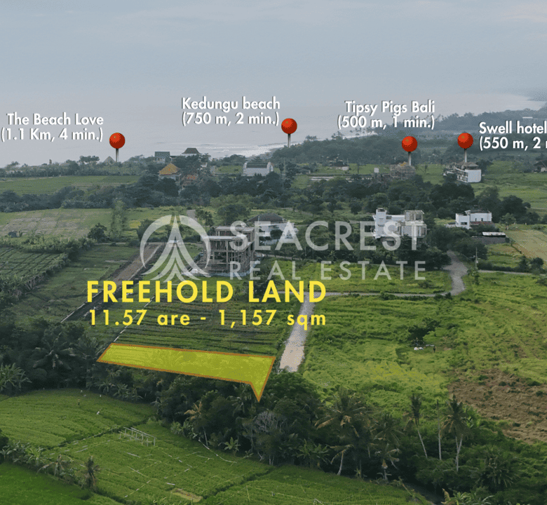 D14c2 Freehold land Bali for sale seacrest in kedungu best value near beach bening bestari 11 are 1157 square meters-3