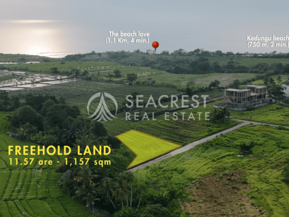 D14c2 Freehold land Bali for sale seacrest in kedungu best value near beach bening bestari 11 are 1157 square meters-4