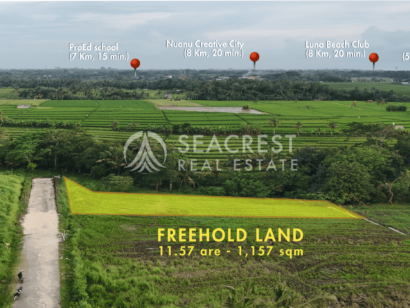 D14c2 Freehold land Bali for sale seacrest in kedungu best value near beach bening bestari 11 are 1157 square meters