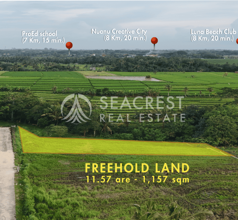 D14c2 Freehold land Bali for sale seacrest in kedungu best value near beach bening bestari 11 are 1157 square meters