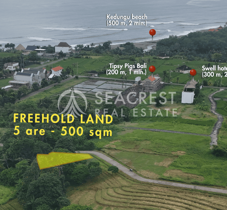 D5b Freehold land Bali for sale seacrest in kedungu best value near beach bening bestari 500 square meters-3