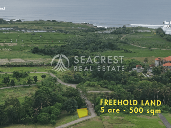 D5b Freehold land Bali for sale seacrest in kedungu best value near beach bening bestari 500 square meters-4