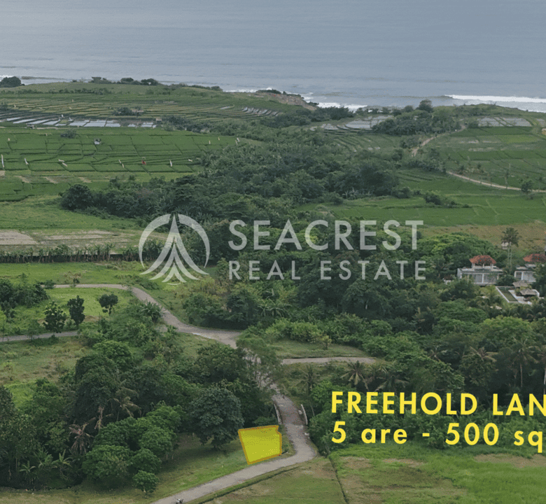 D5b Freehold land Bali for sale seacrest in kedungu best value near beach bening bestari 500 square meters-4
