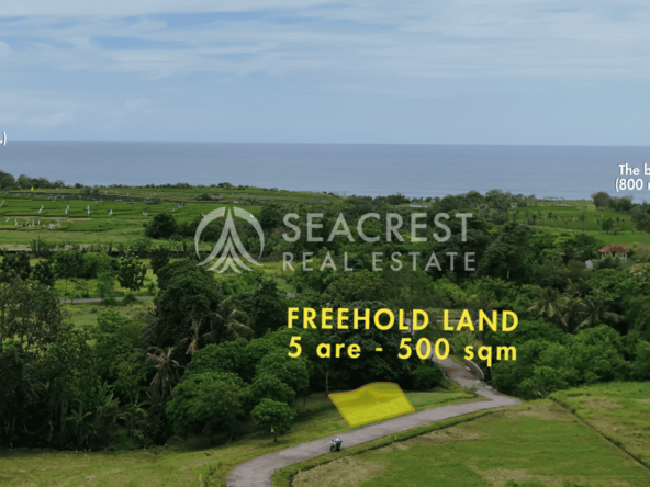 D5c Freehold land Bali for sale seacrest in kedungu best value near beach bening bestari 5 are 500 square meters-6
