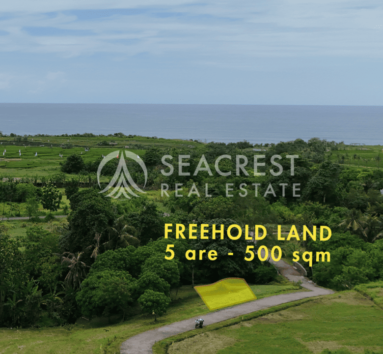 D5c Freehold land Bali for sale seacrest in kedungu best value near beach bening bestari 5 are 500 square meters-6