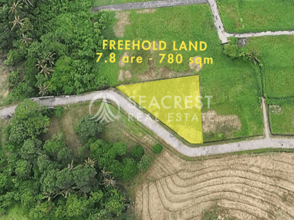 D5e Freehold land Bali for sale seacrest in kedungu best value near beach bening bestari 7 are 780 square meters