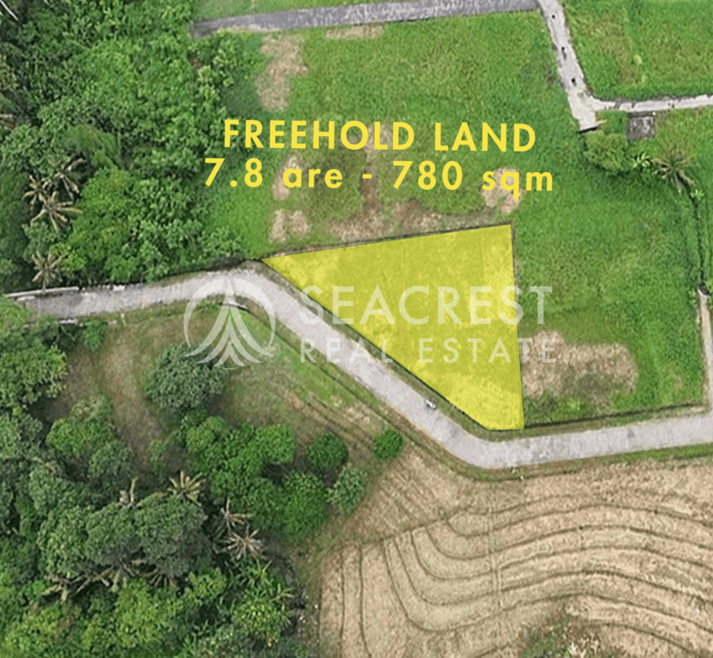 D5e Freehold land Bali for sale seacrest in kedungu best value near beach bening bestari 7 are 780 square meters