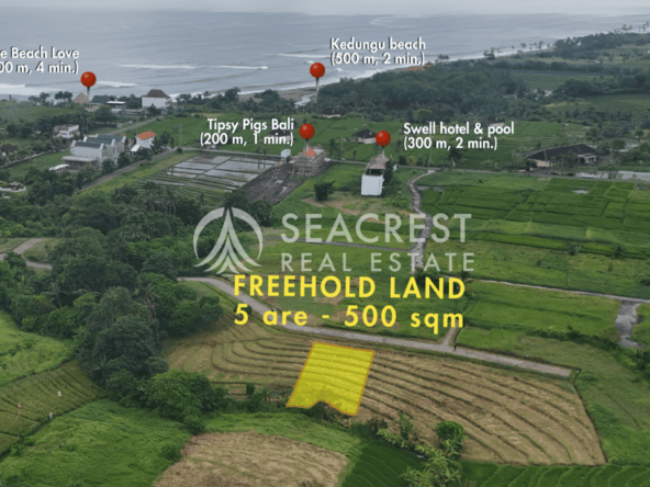 D5j2 Freehold land Bali for sale seacrest in kedungu best value near beach bening bestari 5 are 500 square meters-3