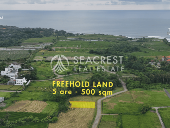 D5j2 Freehold land Bali for sale seacrest in kedungu best value near beach bening bestari 5 are 500 square meters-4