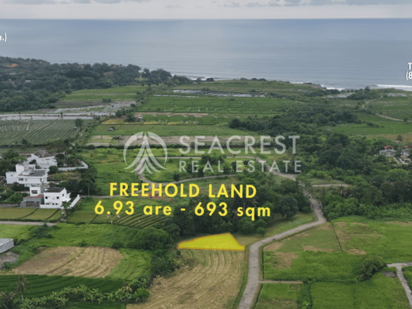D5k1 Freehold land Bali for sale seacrest in kedungu best value near beach bening bestari 5 are 500 square meters-4