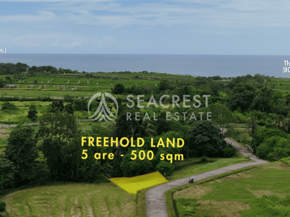 D5k2 Freehold land Bali for sale seacrest in kedungu best value near beach bening bestari 5 are 500 square meters-6