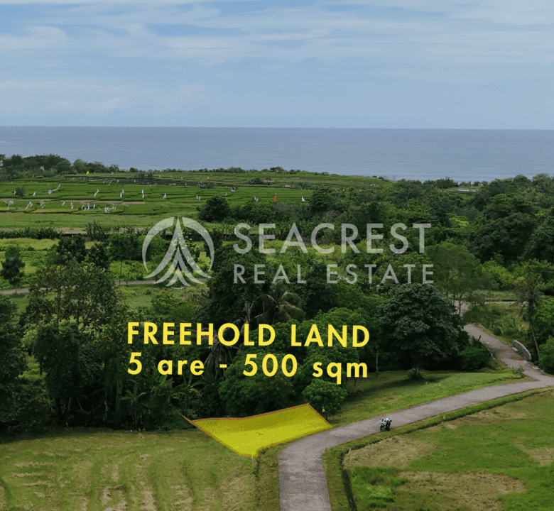 D5k2 Freehold land Bali for sale seacrest in kedungu best value near beach bening bestari 5 are 500 square meters-6