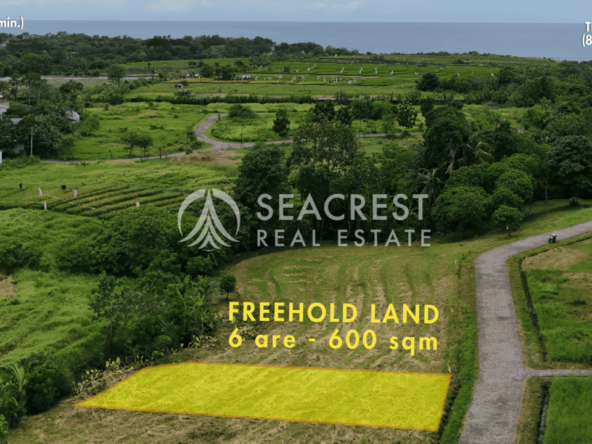 Freehold land Bali for sale seacrest in kedungu best value near beach bening bestari 6 are 600 square meters-2