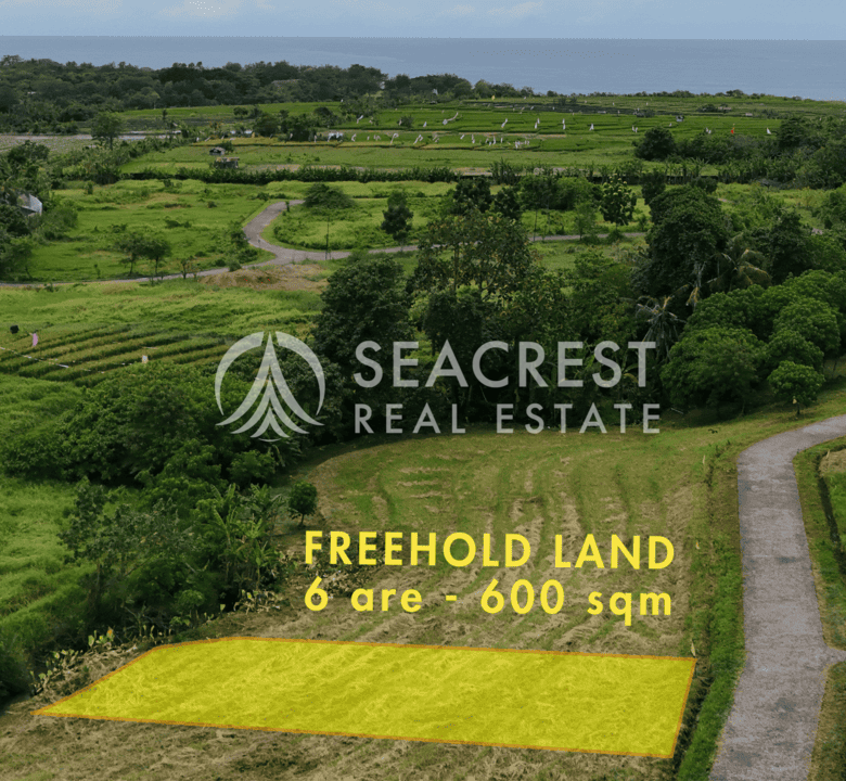 Freehold land Bali for sale seacrest in kedungu best value near beach bening bestari 6 are 600 square meters-2