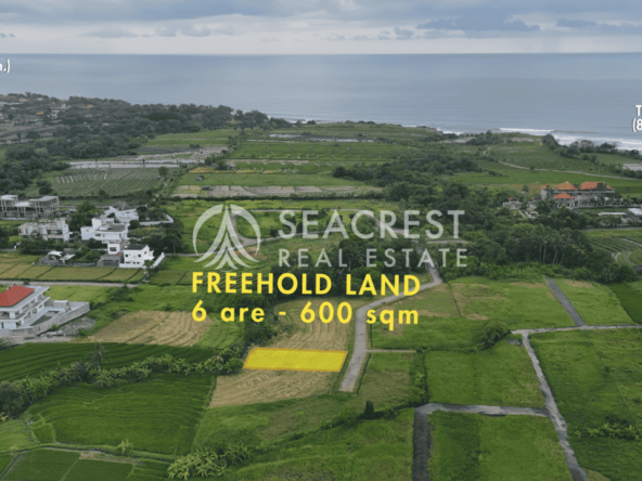 Freehold land Bali for sale seacrest in kedungu best value near beach bening bestari 6 are 600 square meters-4