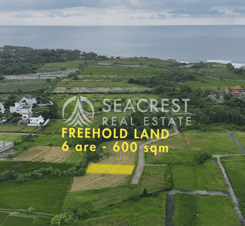 Freehold land Bali for sale seacrest in kedungu best value near beach bening bestari 6 are 600 square meters-4