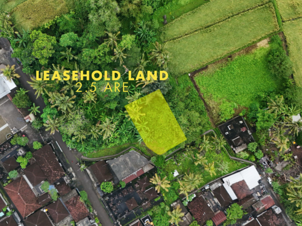 Sale Leasehold land 2.5 are Kedungu in bali-2